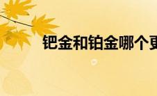 钯金和铂金哪个更好（你知道吗）