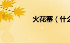 火花塞（什么是火花塞）