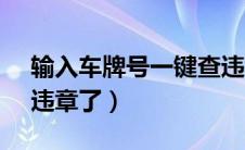 输入车牌号一键查违章（12123当天就查到违章了）
