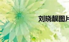刘晓靓图片(刘晓靓)