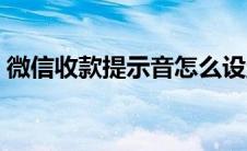 微信收款提示音怎么设置（微信收款提示音）
