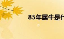 85年属牛是什么命(85年)