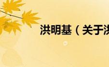 洪明基（关于洪明基的介绍）