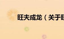 旺夫成龙（关于旺夫成龙的介绍）