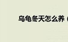 乌龟冬天怎么养（这三点需谨记）
