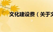 文化建设费（关于文化建设费的介绍）