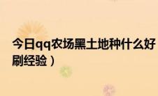 今日qq农场黑土地种什么好（QQ农场全部是黑土地种什么刷经验）
