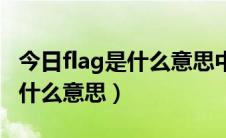 今日flag是什么意思中文翻译怎么读（flag是什么意思）