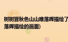 树树皆秋色山山唯落晖描绘了怎样的画面(树树皆秋色山山唯落晖描绘的画面)