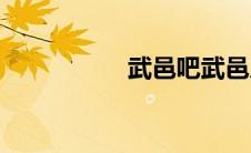 武邑吧武邑人(武邑吧)