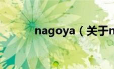 nagoya（关于nagoya的介绍）