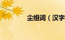尘组词（汉字尘如何组词）