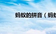 蚂蚁的拼音（蚂蚁的拼音及解释）