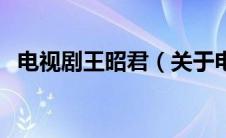 电视剧王昭君（关于电视剧王昭君的介绍）