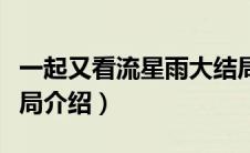 一起又看流星雨大结局（一起又看流星雨大结局介绍）