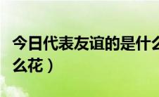 今日代表友谊的是什么玫瑰（代表友谊的是什么花）