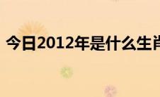 今日2012年是什么生肖（《2012》演员表）