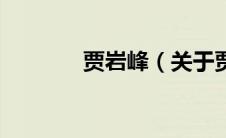 贾岩峰（关于贾岩峰的介绍）