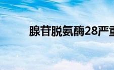 腺苷脱氨酶28严重吗(腺苷脱氨酶)