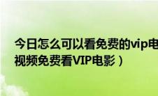 今日怎么可以看免费的vip电影（怎么免费看各大网站会员视频免费看VIP电影）