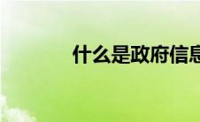 什么是政府信息(什么是政府)