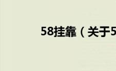 58挂靠（关于58挂靠的介绍）