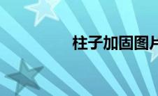 柱子加固图片(柱子加固)