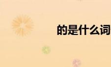 的是什么词性（的是）