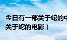 今日有一部关于蛇的中国老电影（一部很老的关于蛇的电影）