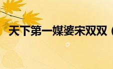 天下第一媒婆宋双双（天下第一媒婆全集）