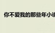 你不爱我的那些年小说(你不爱我的那些年)