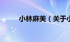 小林麻美（关于小林麻美的介绍）