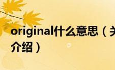original什么意思（关于original什么意思的介绍）