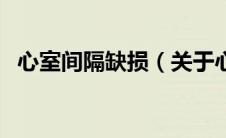 心室间隔缺损（关于心室间隔缺损的介绍）