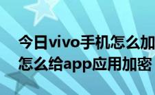 今日vivo手机怎么加密应用程序（vivo手机怎么给app应用加密）