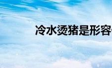 冷水烫猪是形容什么(冷水烫猪)