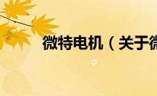微特电机（关于微特电机的介绍）