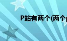 P站有两个(两个p站分别是什么)