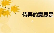 侍弄的意思是(侍弄的意思)