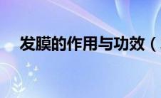 发膜的作用与功效（发膜对头发的好处）