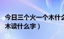 今日三个火一个木什么字怎么读（三个火一个木读什么字）