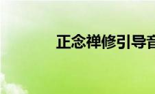 正念禅修引导音频(正念禅修)