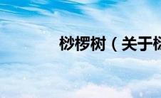 桫椤树（关于桫椤树的介绍）
