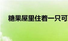 糖果屋里住着一只可爱的小老虎(糖果屋)