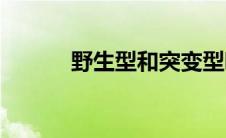 野生型和突变型哪个好(野生型)