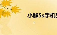 小鲜5s手机壳（小鲜5）