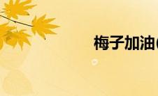 梅子加油(md5码)