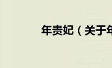 年贵妃（关于年贵妃的介绍）