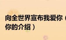 向全世界宣布我爱你（关于向全世界宣布我爱你的介绍）
