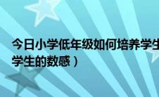 今日小学低年级如何培养学生的数感（如何培养小学一年级学生的数感）